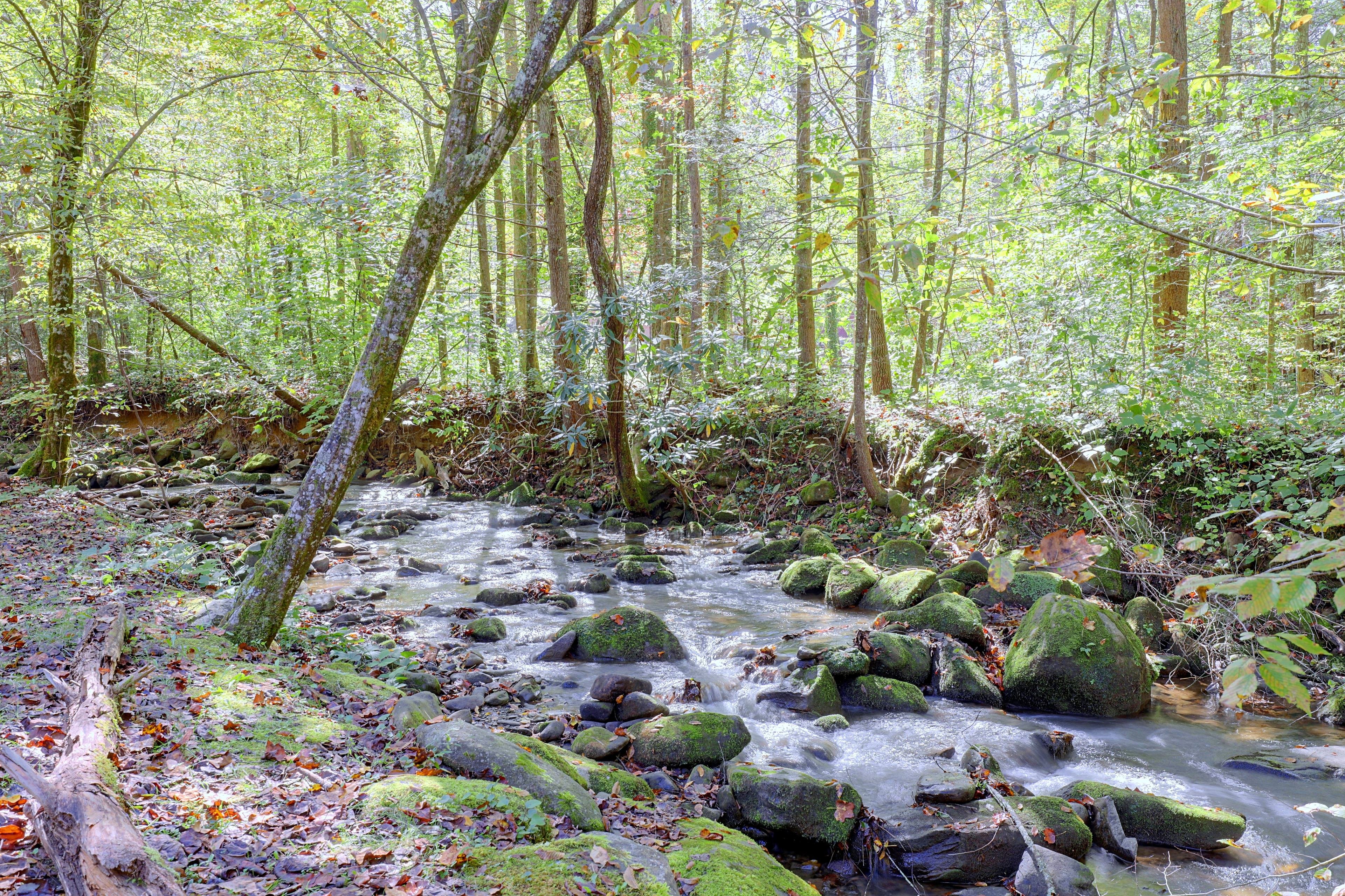 Image 33