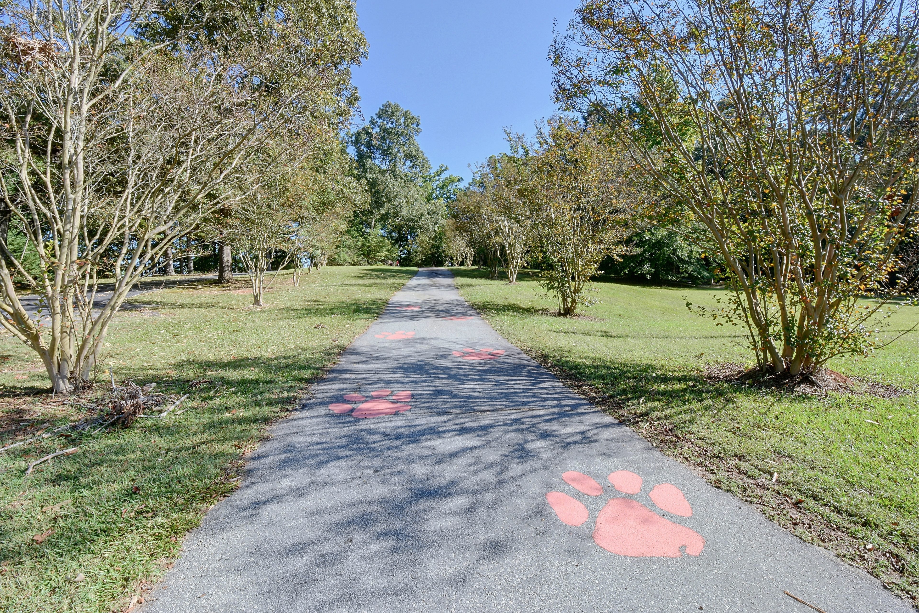 Paved walkway decorated with orange paw prints leading through the grounds.