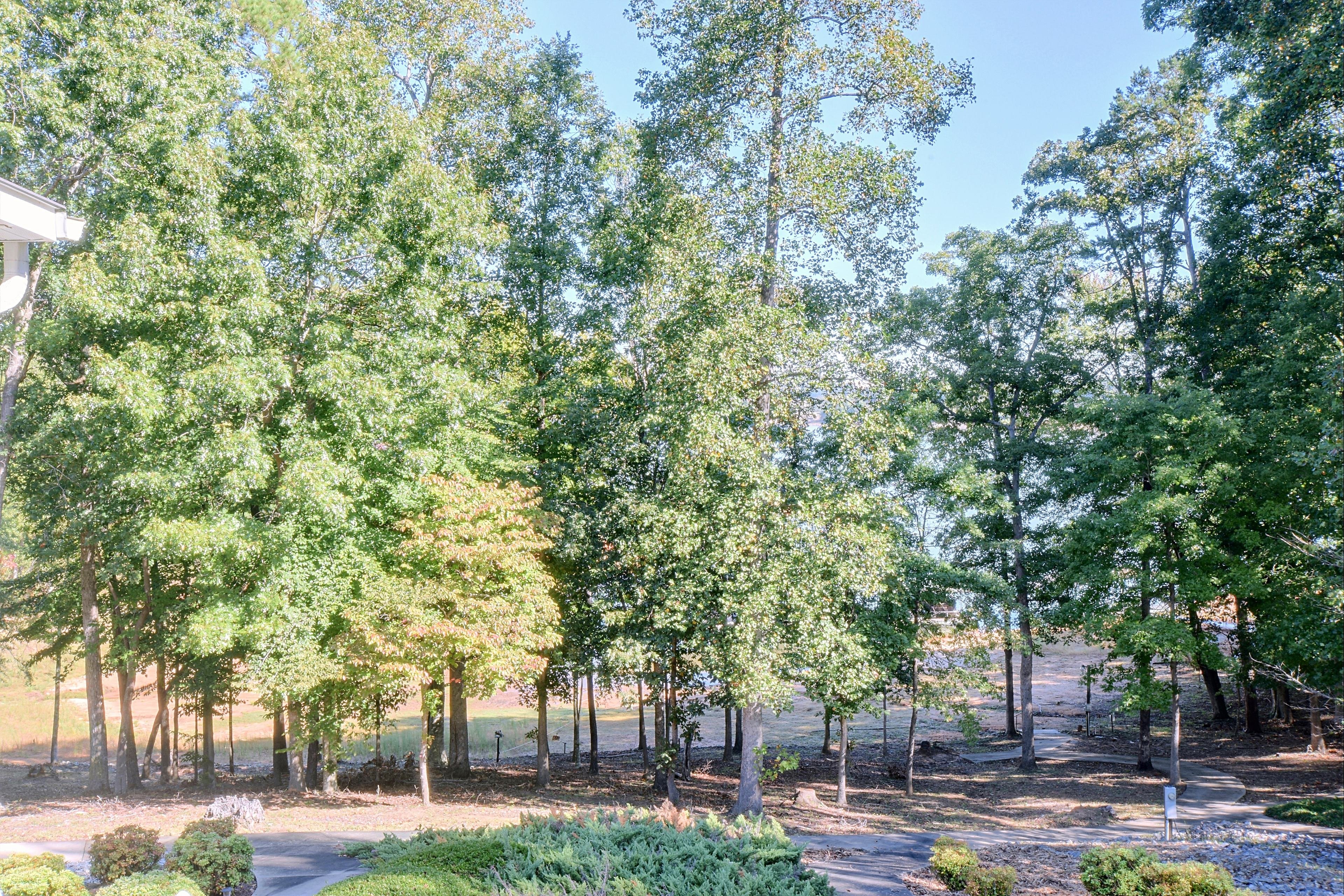 Distant view of the lake through surrounding trees.
