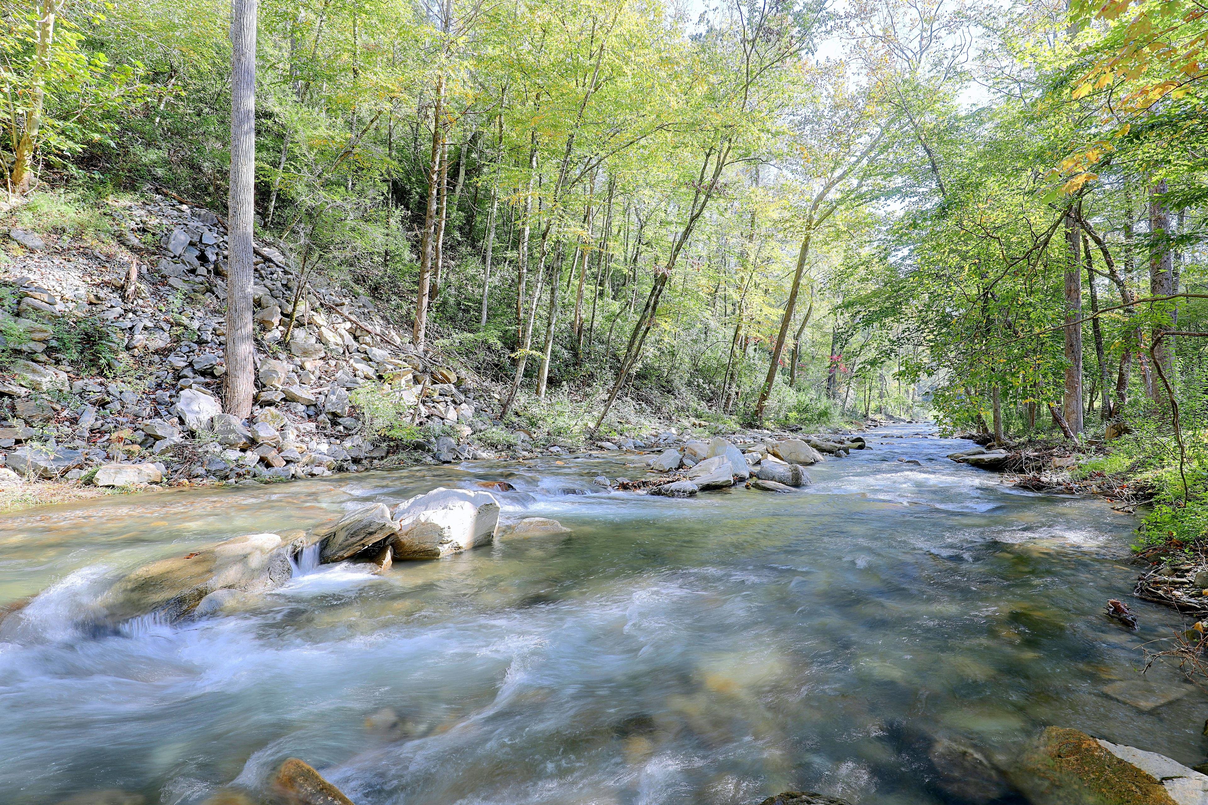 Direct Creek Access