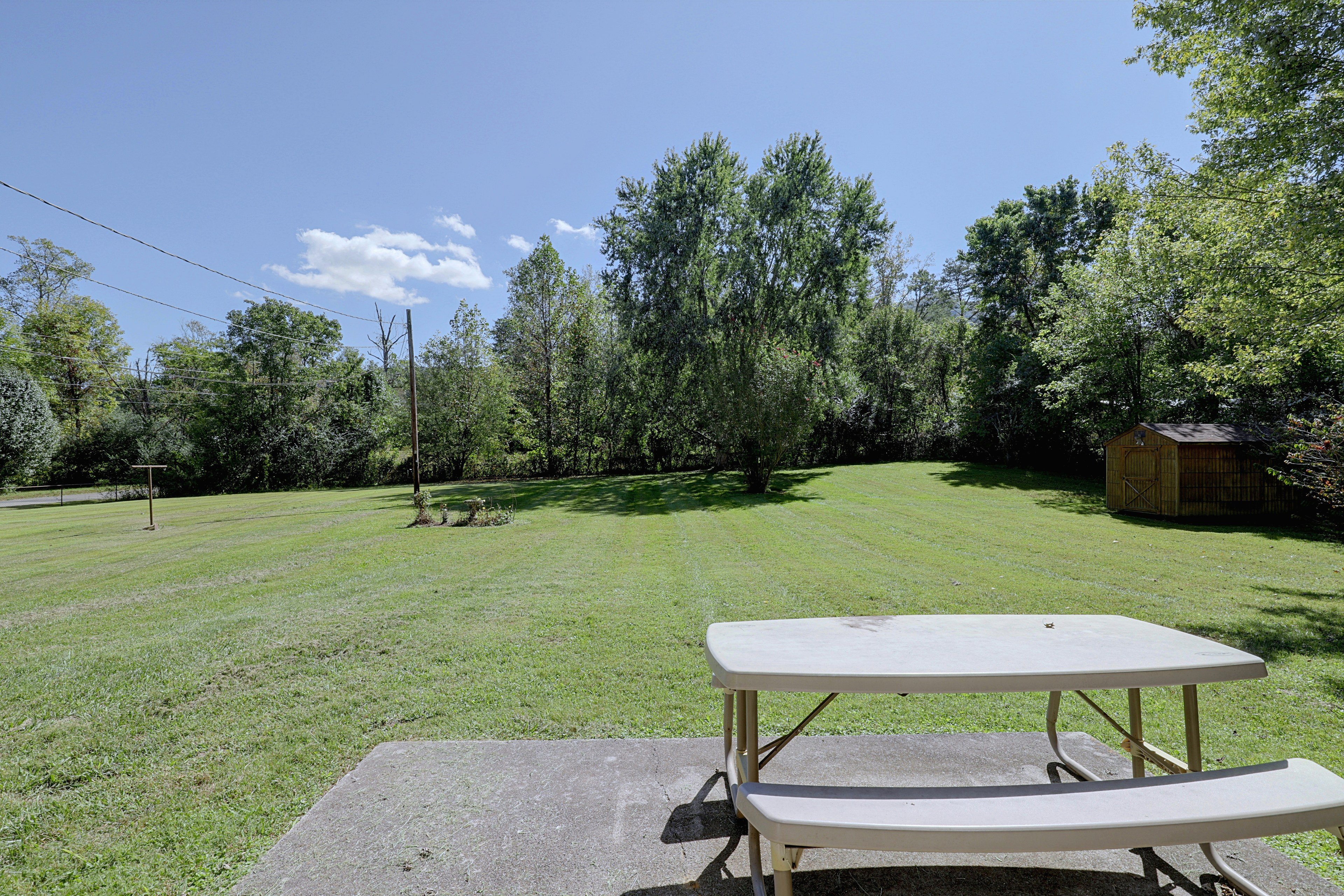 Backyard