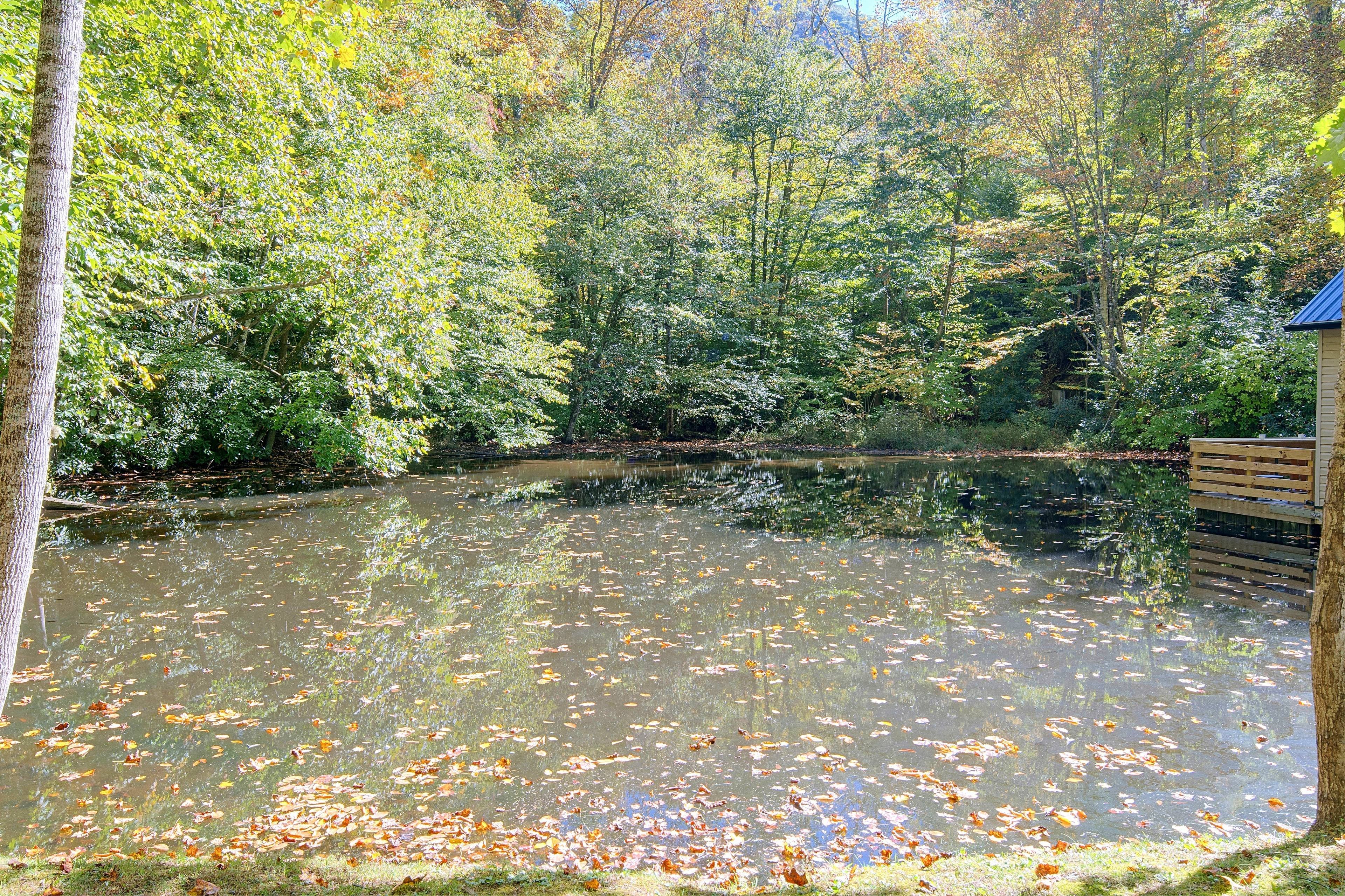 Pond Views