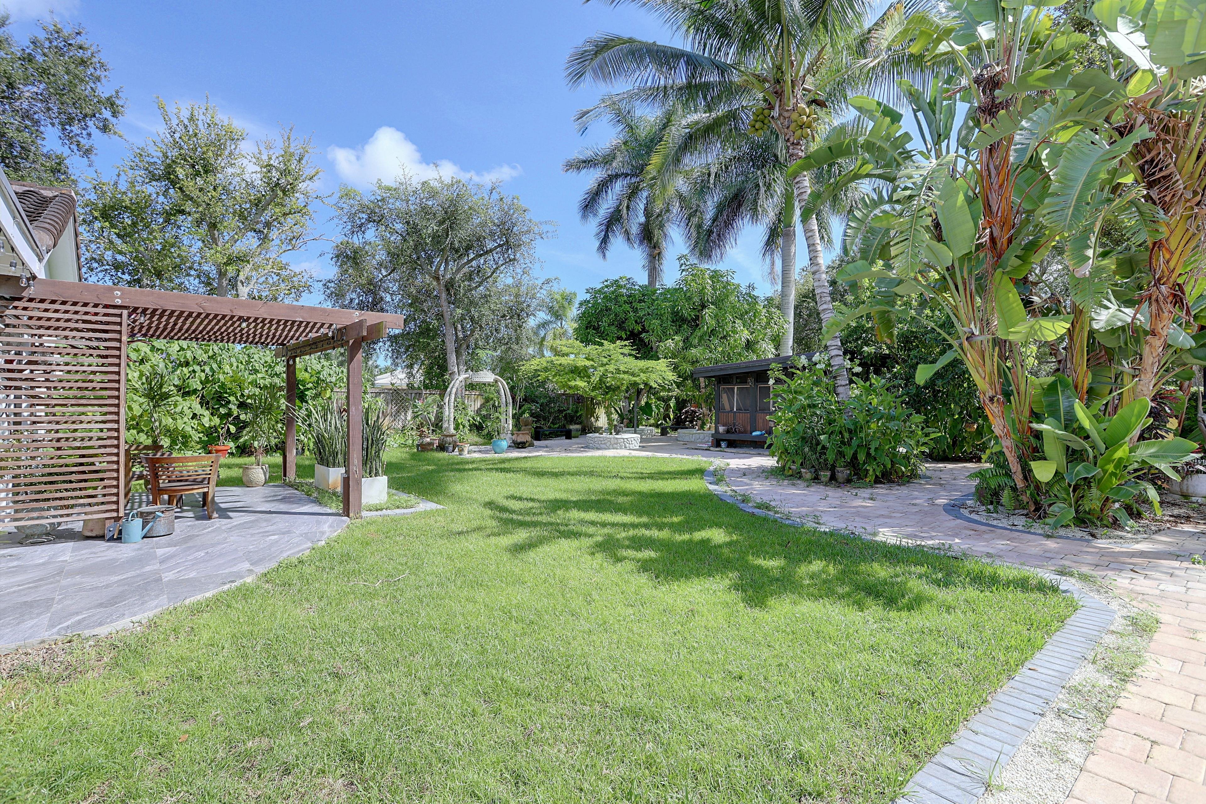 Backyard