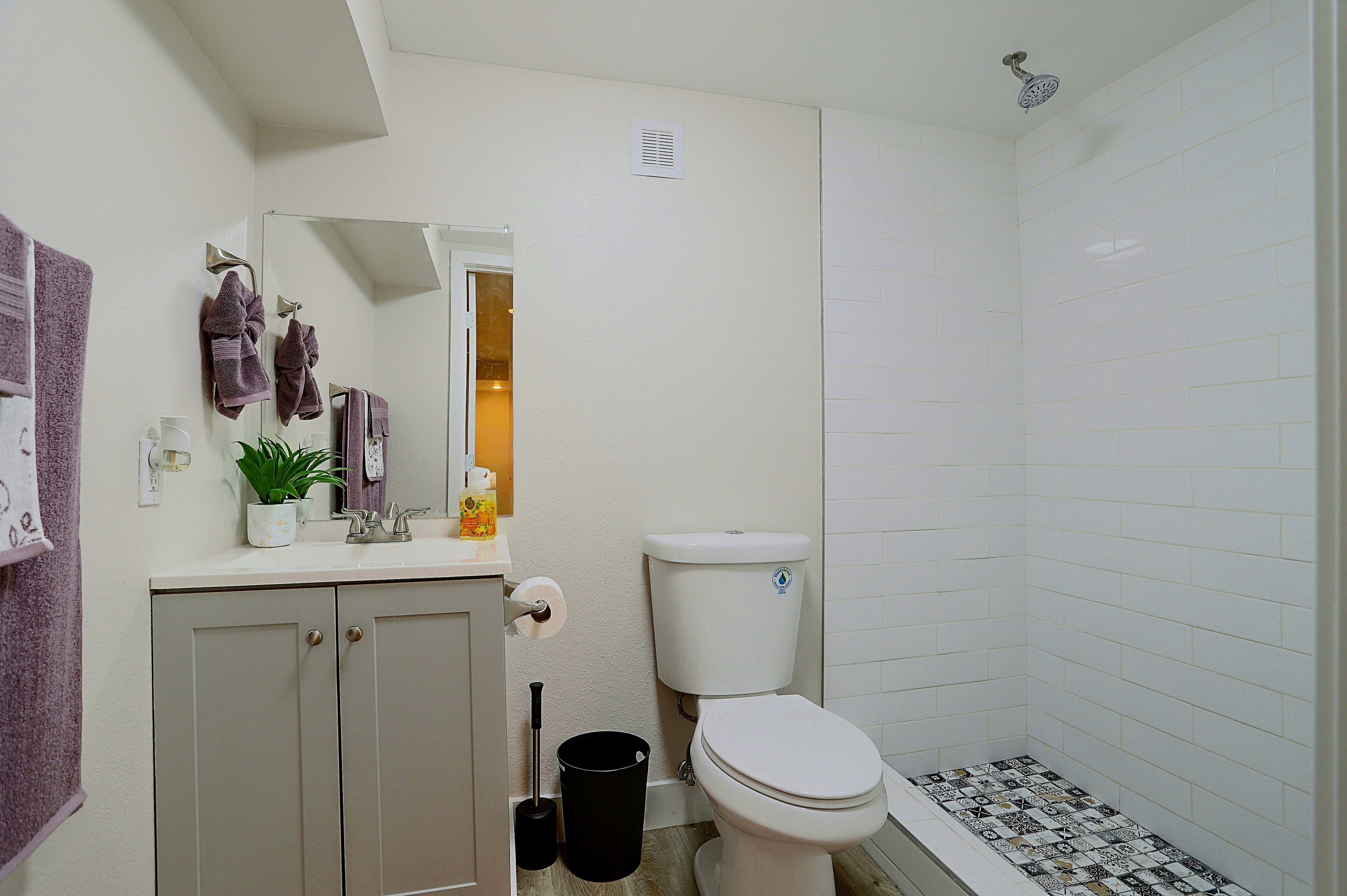 Bathroom | Lower Floor