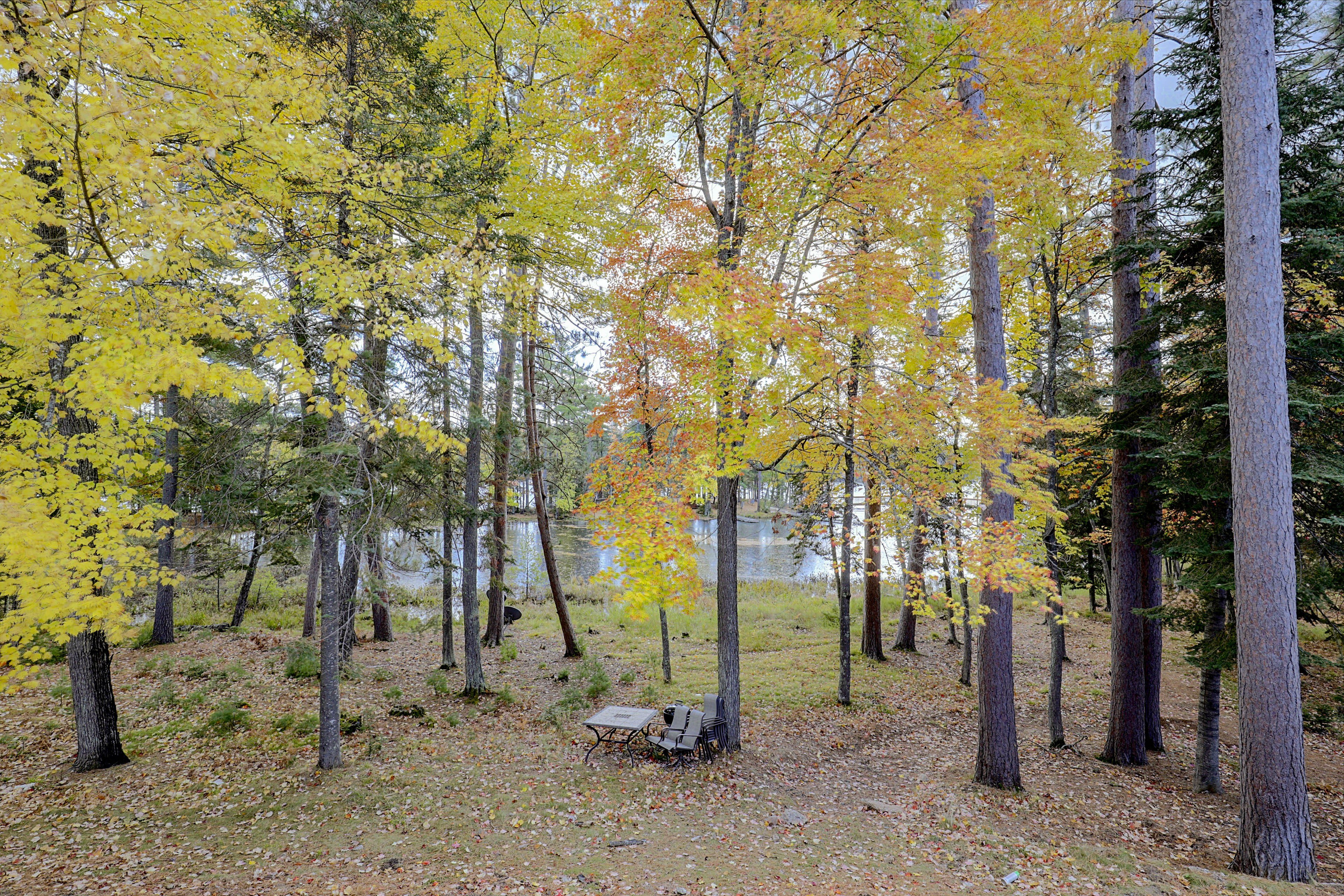 Image 19