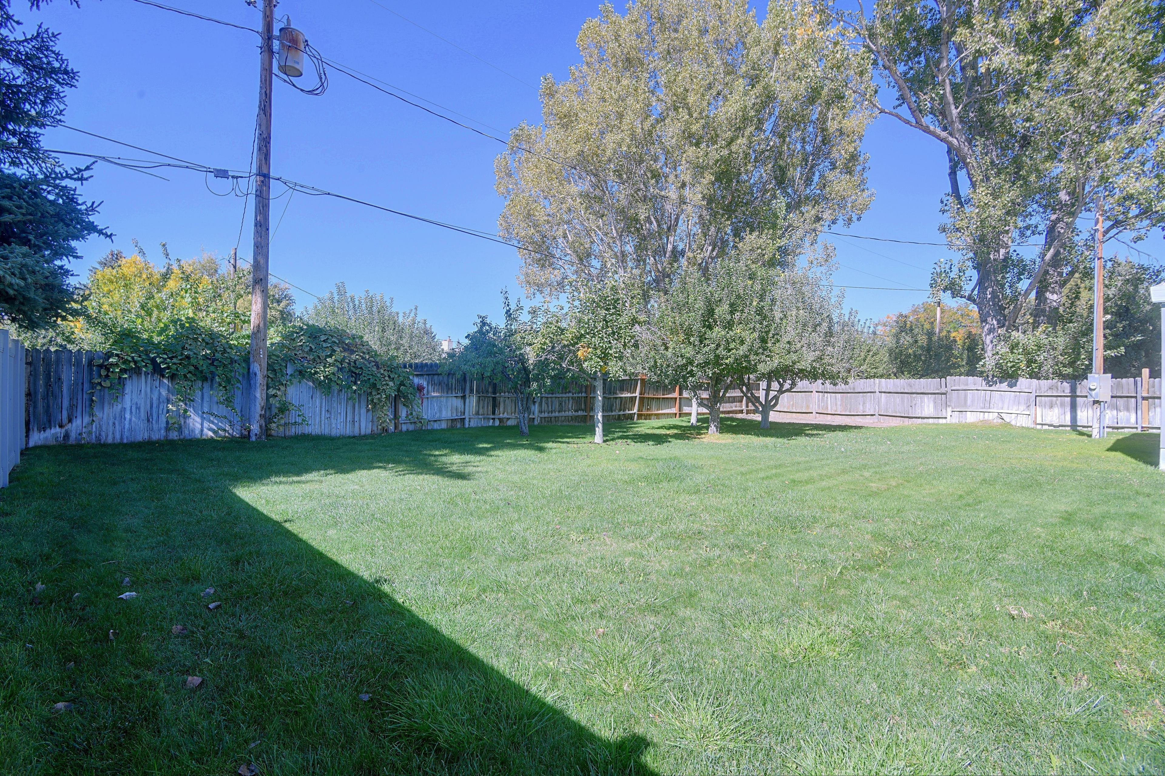Spacious Yard